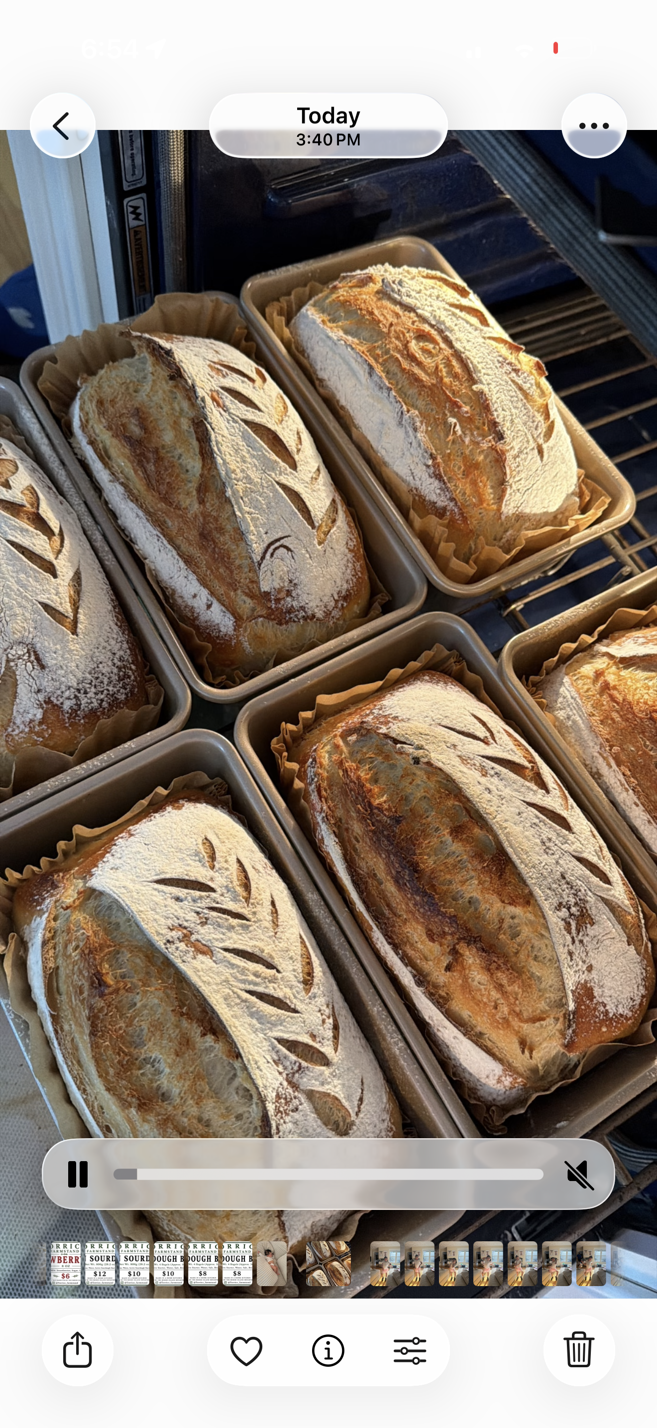 Fresh sourdough loaves
