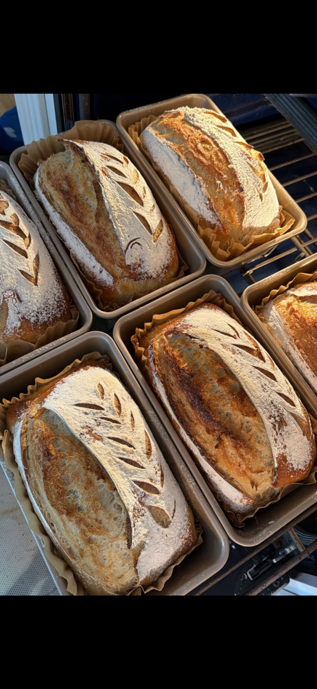 Fresh sourdough loaves